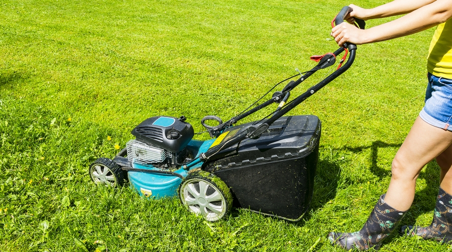 3 Reasons to Hire a Landscaping Design Company for Your Rental Property